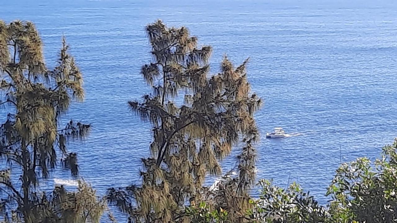 Chambre vue sur mer entre Grande Anse et Manapany Petite Île Extérieur photo