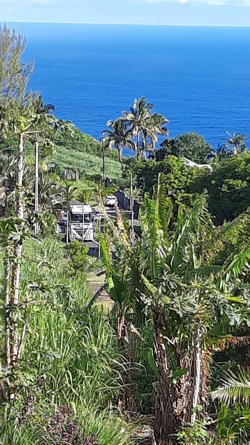 Chambre vue sur mer entre Grande Anse et Manapany Petite Île Extérieur photo